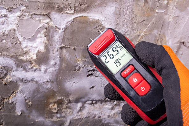 Best Mold Cleaning Services  in Kilauea, HI