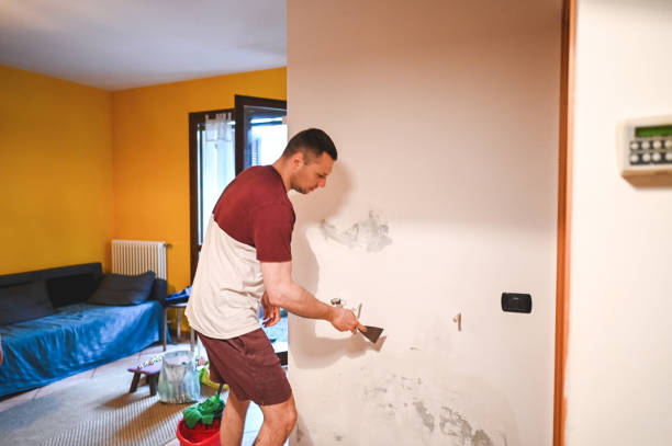 Professional Mold Removal in Kilauea, HI